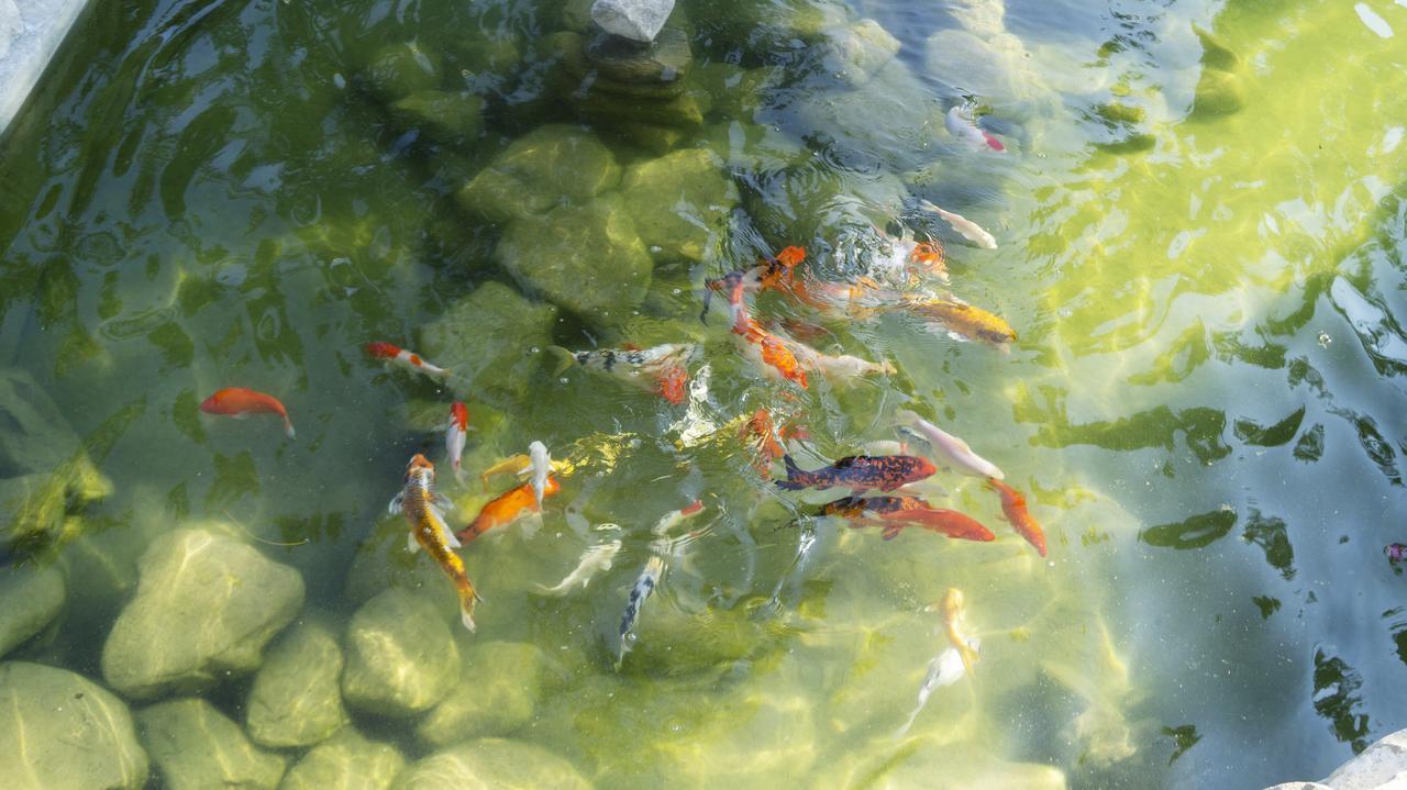 Pisces Garden B&B Checheng Exterior foto