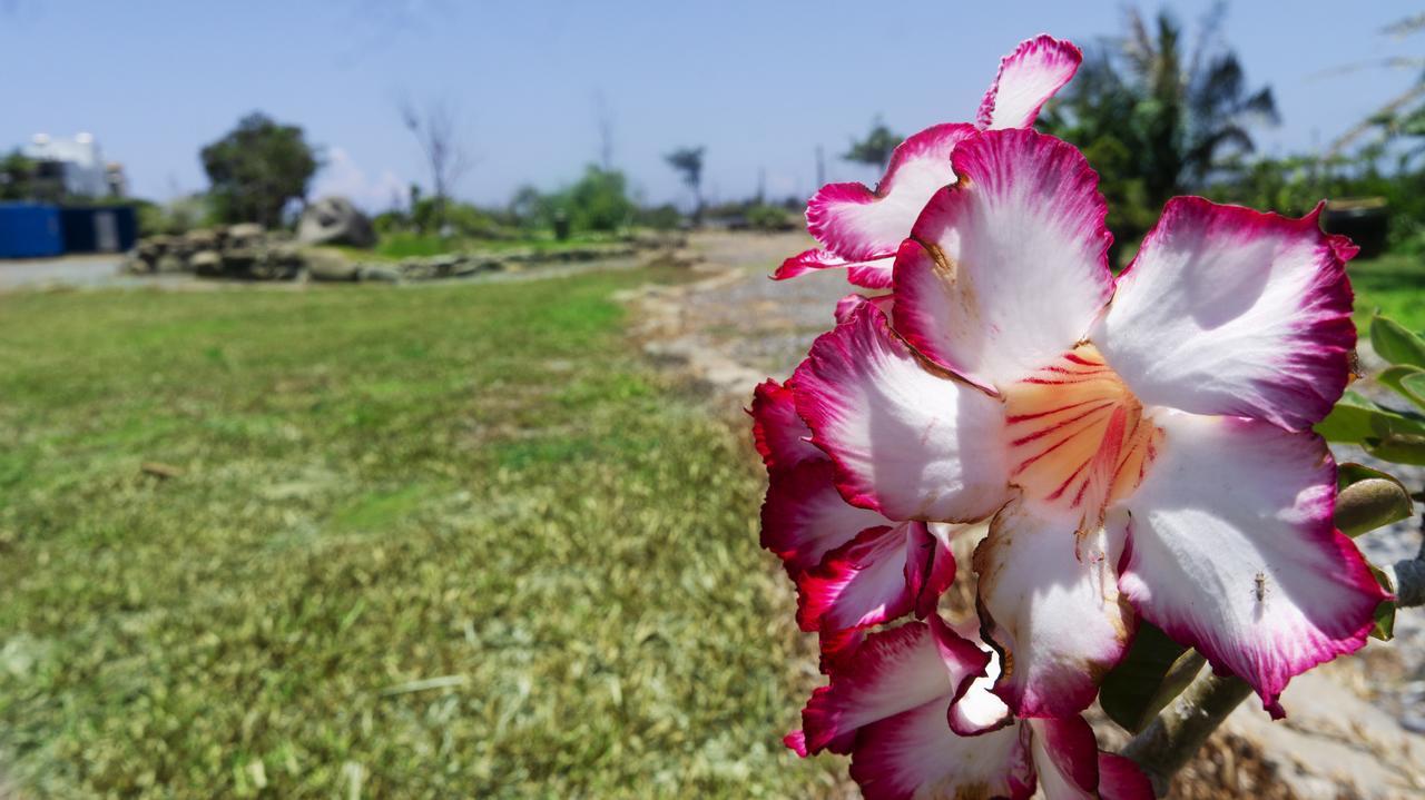 Pisces Garden B&B Checheng Exterior foto