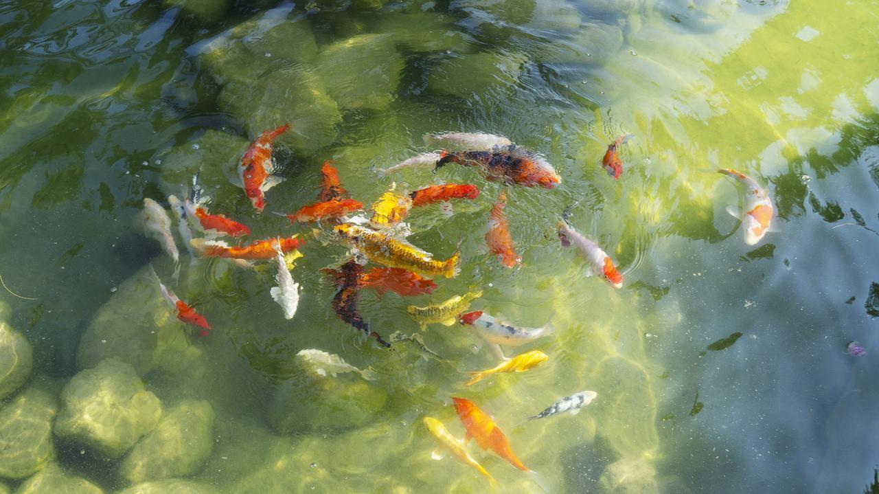Pisces Garden B&B Checheng Exterior foto